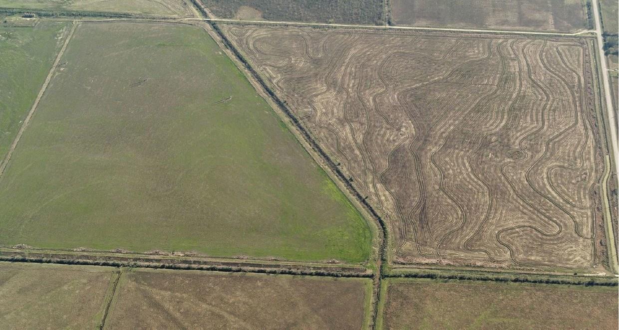 542 Acres, Rural Liberty County photo 9