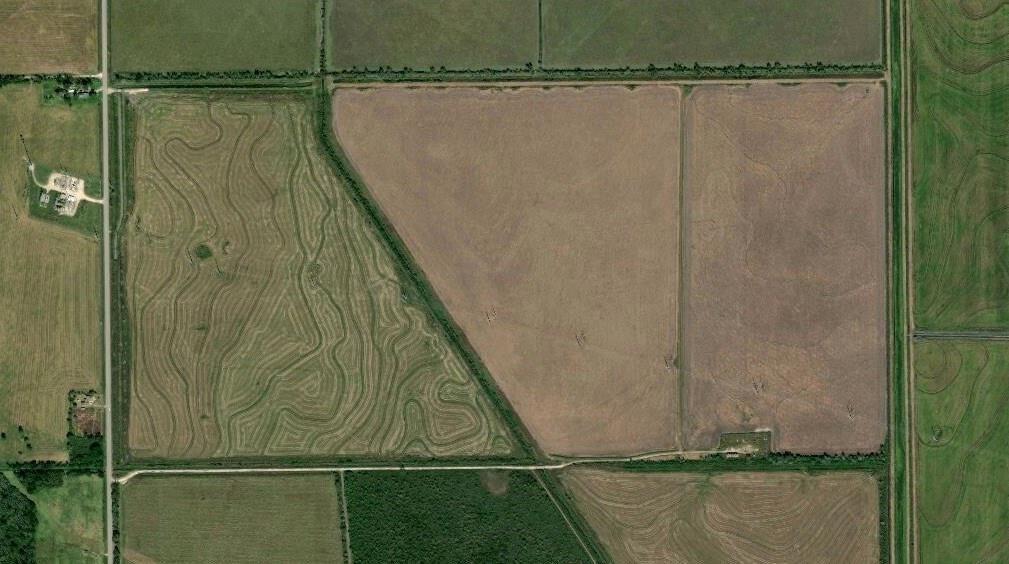542 Acres, Rural Liberty County photo 8
