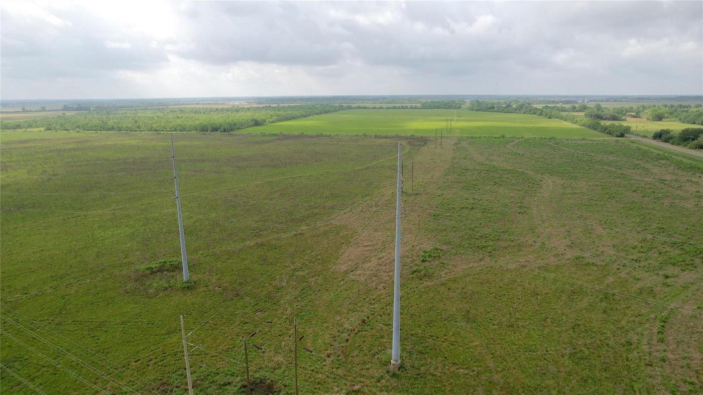 542 Acres, Rural Liberty County photo 2