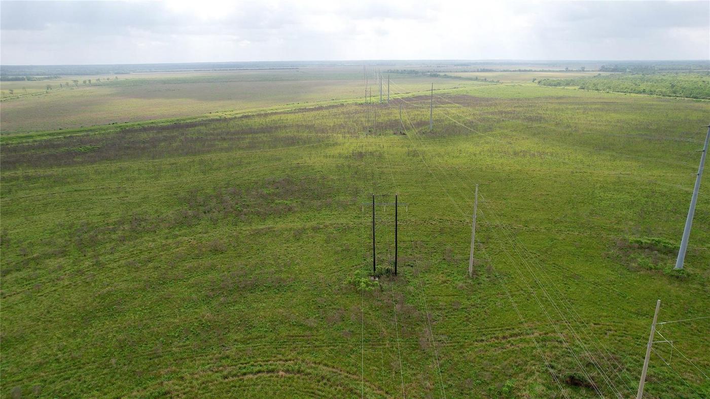 542 Acres, Rural Liberty County photo 3