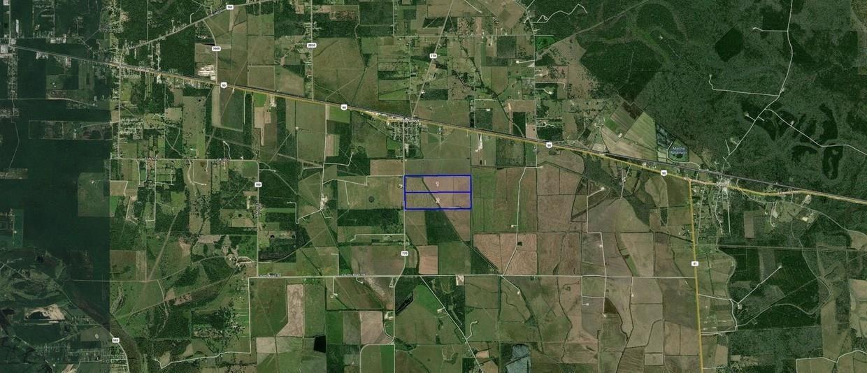 542 Acres, Rural Liberty County photo 13