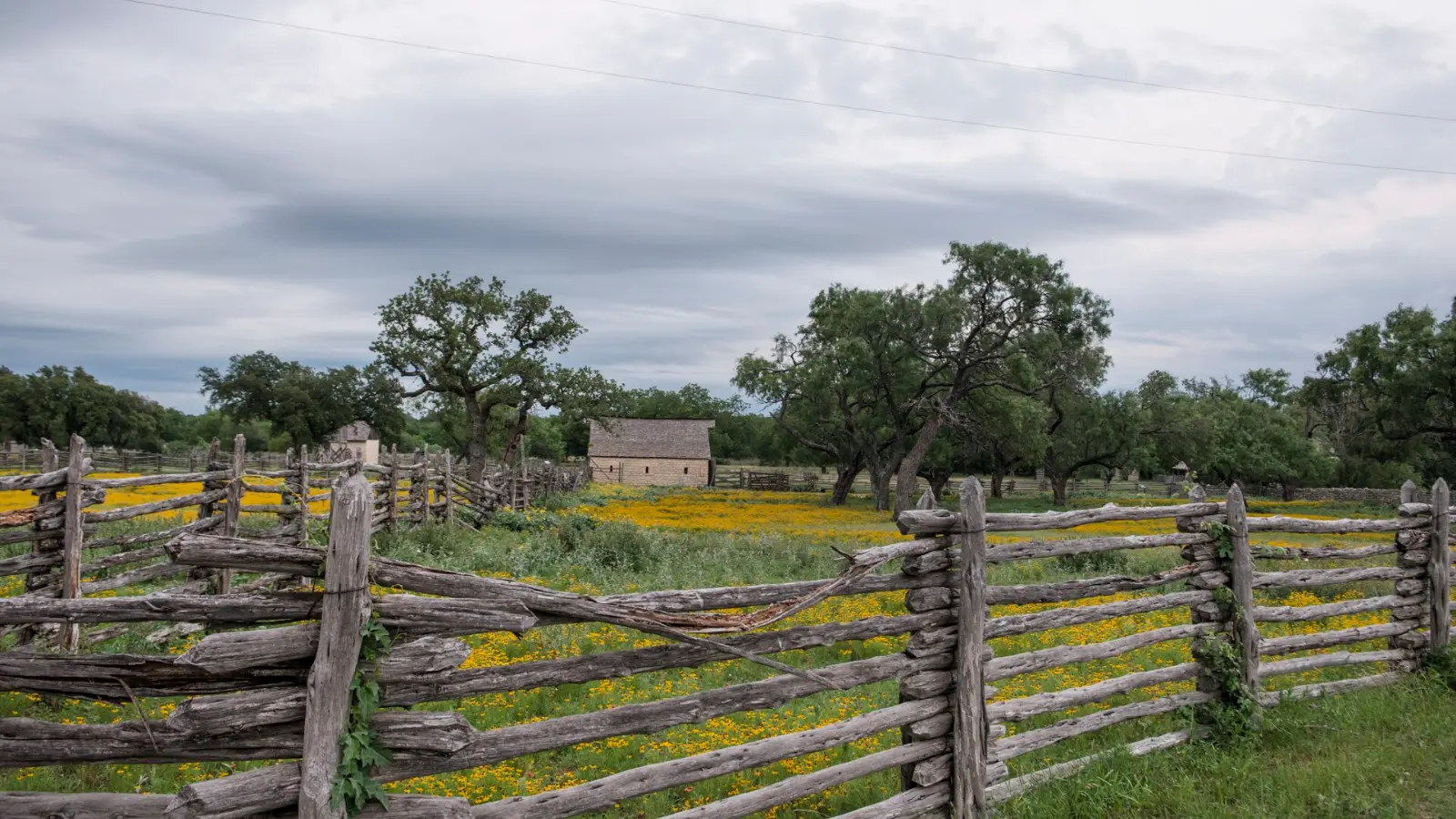 A split-rail fence, oak trees and wildflowers in the Texas Hill Country