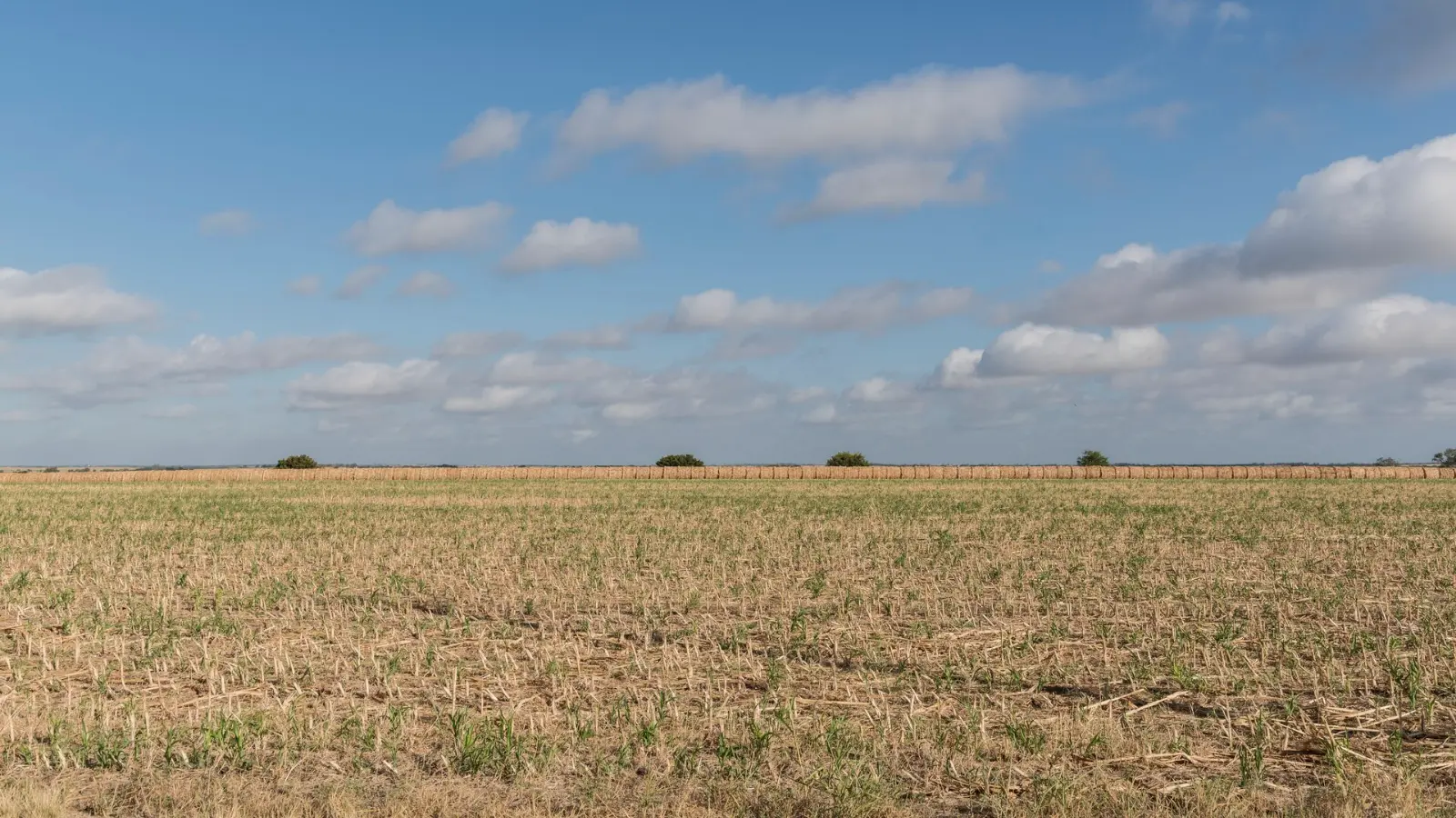 Flat open Texas acreage with a line of hay bales on the horizon
